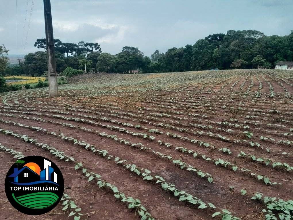 Área Rural em Centro, Piraí do Sul - Ref. 018
