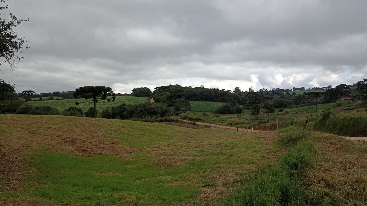 Terreno em Tronco, Castro - Ref. 031